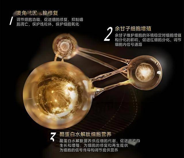 ex外汇官方网址是多少26年老皮卡丘雕像重见天日！玩家复制稀有收藏逸闻